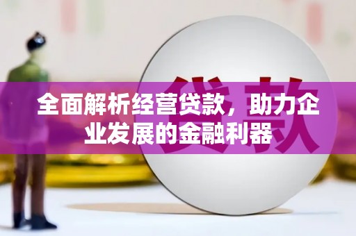 仁爱全面解析经营贷款，助力企业发展的金融利器