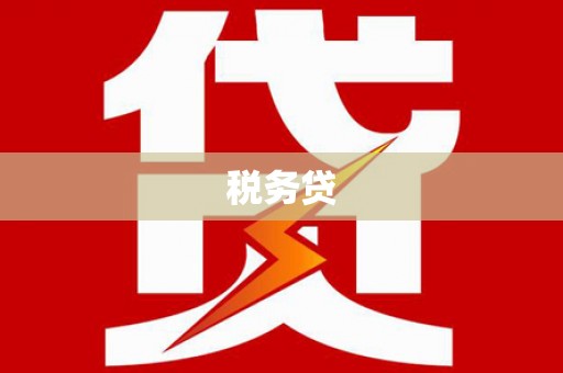 仁爱税务贷