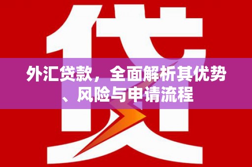 仁爱外汇贷款，全面解析其优势、风险与申请流程