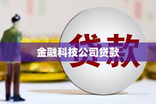 仁爱金融科技公司贷款
