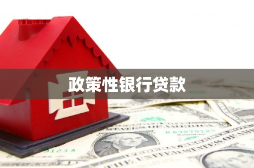 仁爱政策性银行贷款