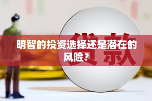 仁爱明智的投资选择还是潜在的风险？