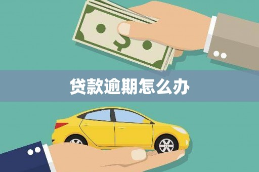 仁爱贷款逾期怎么办