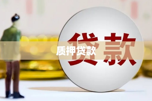 仁爱质押贷款