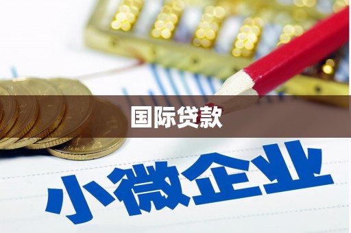 仁爱国际贷款
