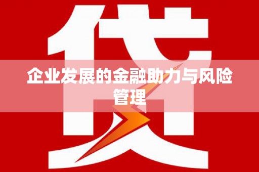 仁爱企业发展的金融助力与风险管理
