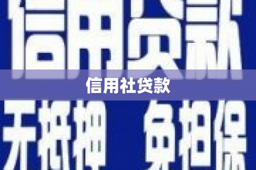 仁爱信用社贷款