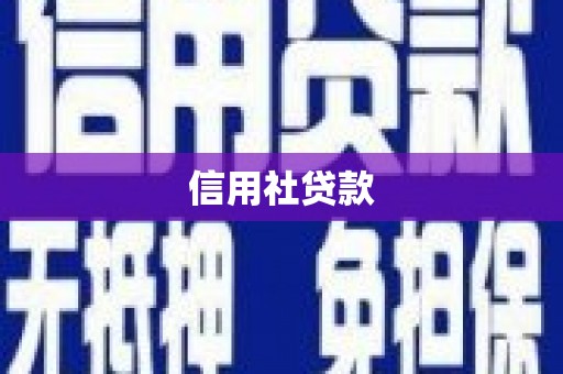 仁爱信用社贷款