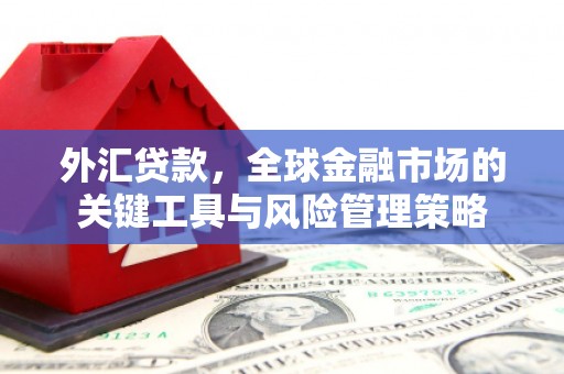 仁爱外汇贷款，全球金融市场的关键工具与风险管理策略