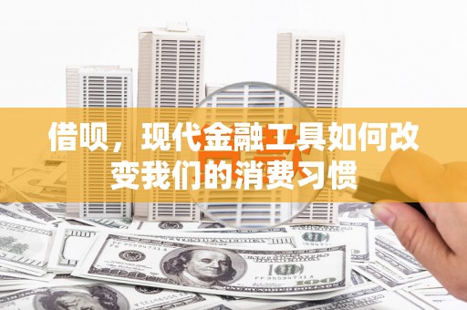 仁爱借呗，现代金融工具如何改变我们的消费习惯