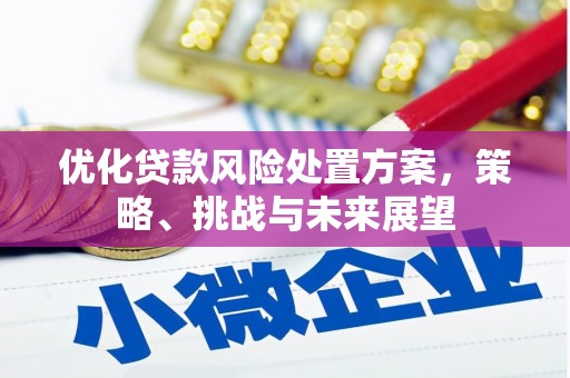 仁爱优化贷款风险处置方案，策略、挑战与未来展望