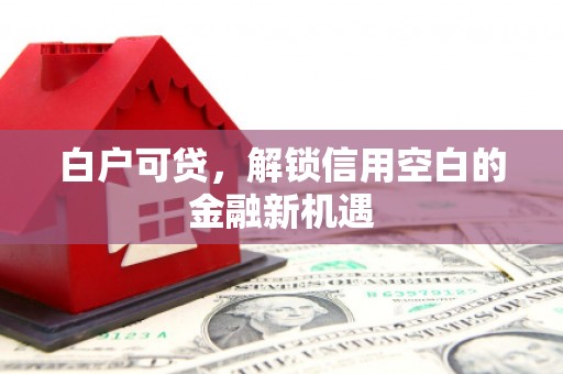 仁爱白户可贷，解锁信用空白的金融新机遇