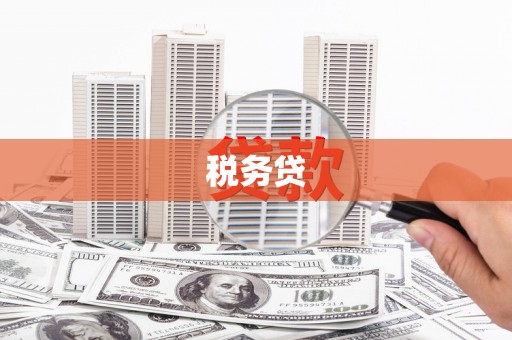 仁爱税务贷