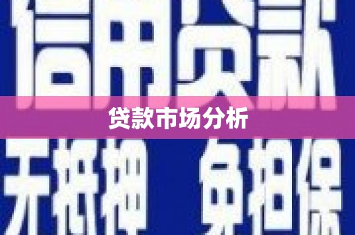 仁爱贷款市场分析