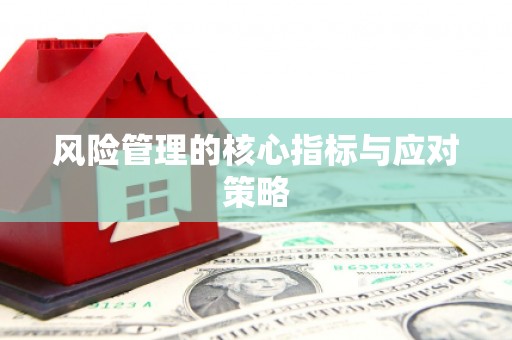 仁爱风险管理的核心指标与应对策略