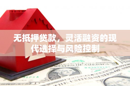 仁爱无抵押贷款，灵活融资的现代选择与风险控制