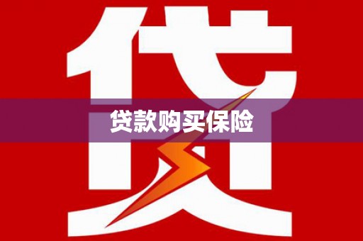 仁爱贷款购买保险