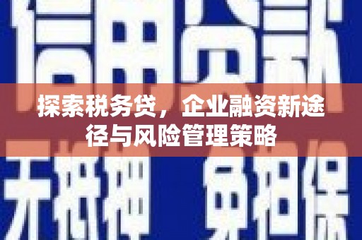 仁爱探索税务贷，企业融资新途径与风险管理策略