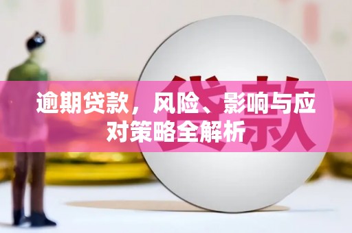 仁爱逾期贷款，风险、影响与应对策略全解析