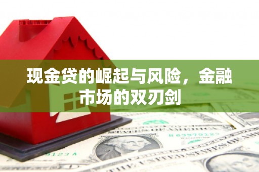 仁爱现金贷的崛起与风险，金融市场的双刃剑