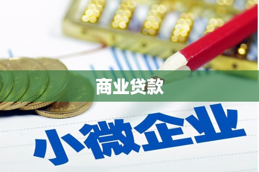 仁爱商业贷款