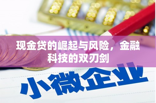 仁爱现金贷的崛起与风险，金融科技的双刃剑