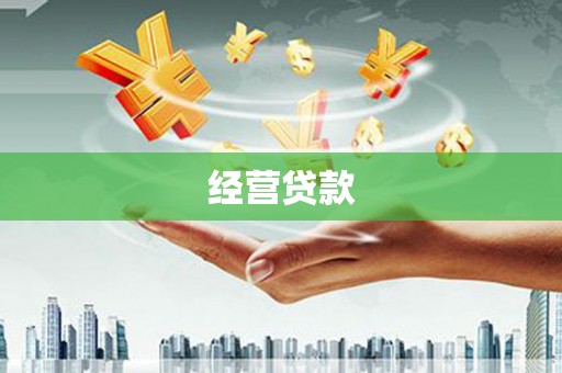 仁爱经营贷款