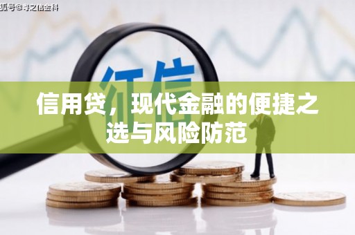 仁爱信用贷，现代金融的便捷之选与风险防范