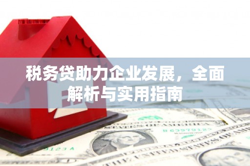 仁爱税务贷助力企业发展，全面解析与实用指南