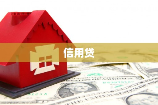 仁爱信用贷