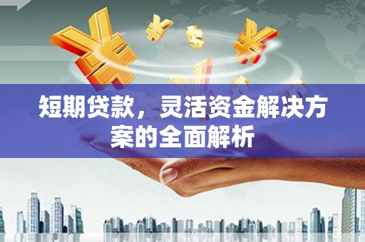 仁爱短期贷款，灵活资金解决方案的全面解析