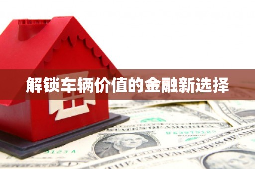仁爱解锁车辆价值的金融新选择