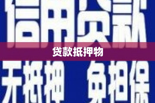 仁爱贷款抵押物