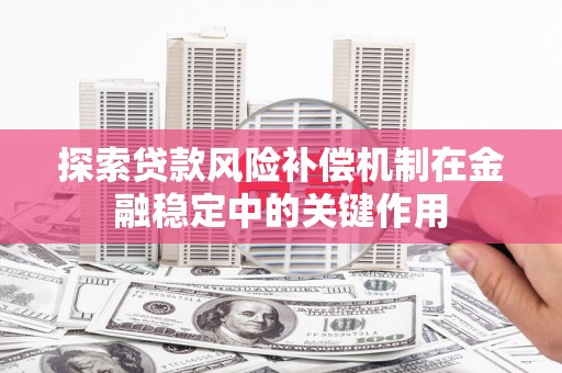 仁爱探索贷款风险补偿机制在金融稳定中的关键作用