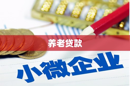 仁爱养老贷款