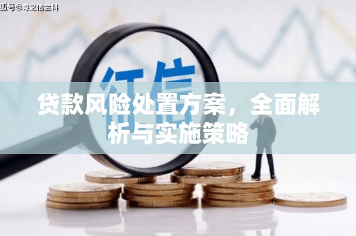 仁爱贷款风险处置方案，全面解析与实施策略